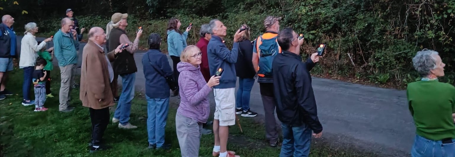 Group of people looking up for bats
